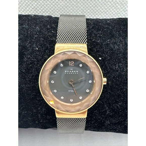Skagen Leonora 456SRM Women Grey Stainless Steel Analog Dial Quartz Watch JNA997